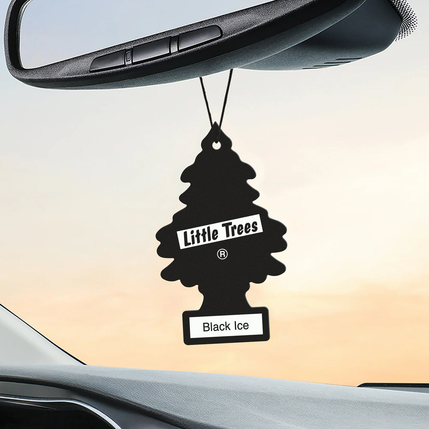 Little Trees Hanging Car Air Freshener - Black Ice Scent (1 Pack)